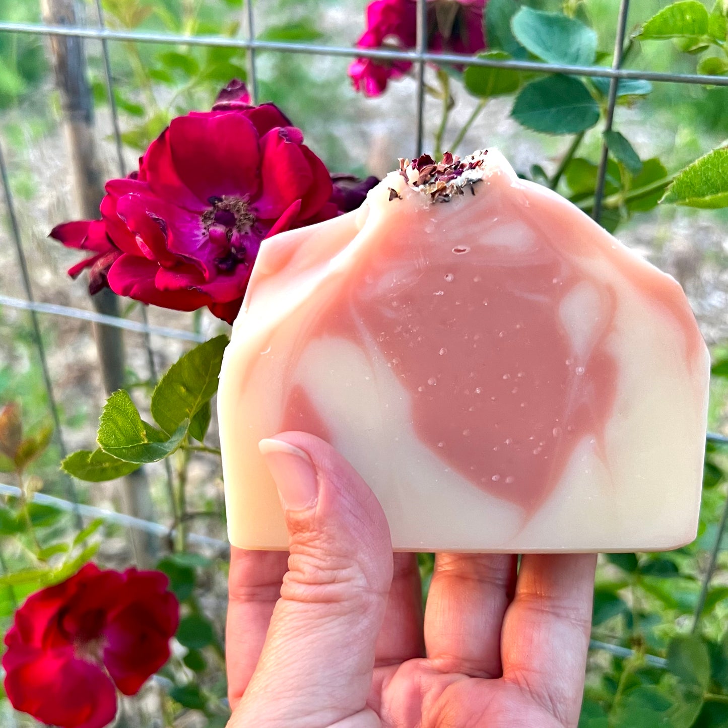 Rose Geranium Coconut Milk Soap